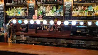 The Four Monkeys – photo 3