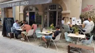 The White Frog – photo 3