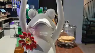 The White Frog – photo 4