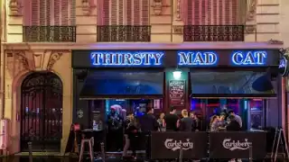 Thirsty Mad Cat – photo 4