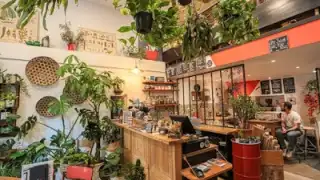 Un Brin de Folie - Cafe Botanique – photo 2