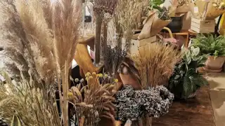 Un Brin de Folie - Cafe Botanique – photo 4