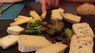 Restaurant Wine Therapy