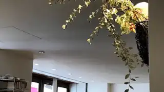 Restaurant Yen