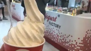 Yogurt Factory BORDEAUX – photo 3