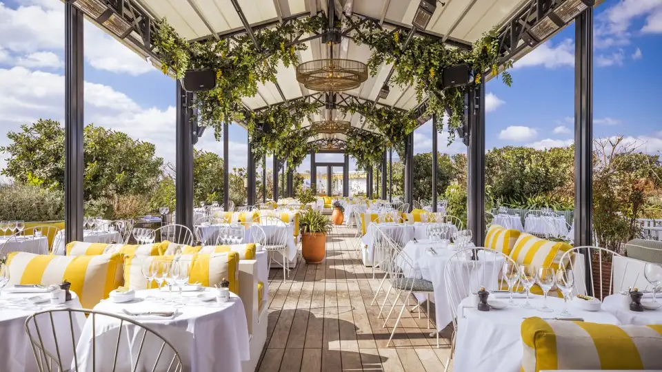 Perruche, restaurant à Paris
