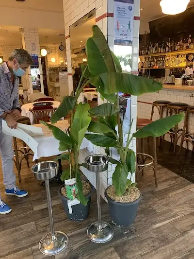 Cafe De Paris, restaurant à Nice