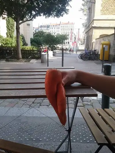 Cafe Vert, restaurant à Lyon