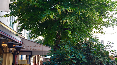 Restaurant Brasserie Le Petit Marcel