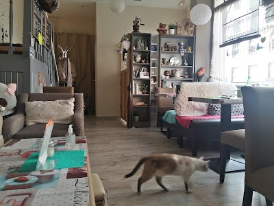 Restaurant Chatperlipopette Cafe