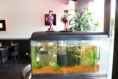 Restaurant Edomae Sushi